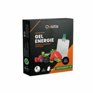 Energie-gel voor een gematigd klimaat - rode vruchten Oxsitis Energiz'heure