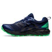 Trail schoenen Asics Gel-sonoma 6 g-tx